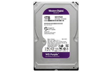 WD11PURZ